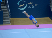 Bakıda idman gimnastikası üzrə Dünya Kubokunda ilk qaliblərin mükafatlandırma mərasimi keçirilib. Azərbaycan, 21 fevral, 2016